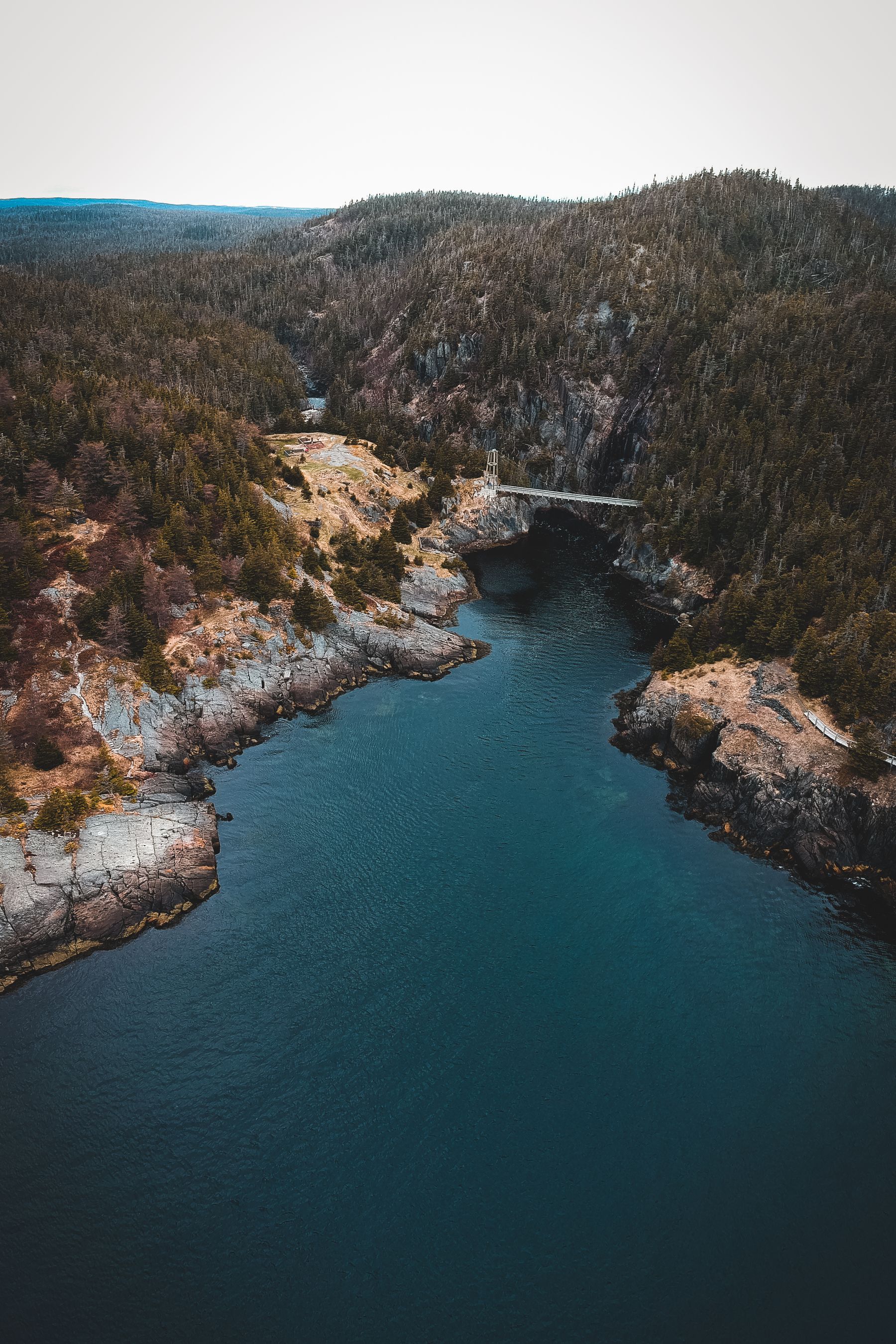 Newfoundland’s evergreen forest, rugged rock and deep blue river